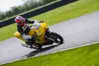 Lower Group Yellow Bikes